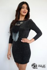 Shruti Hassan Press Meet Photos